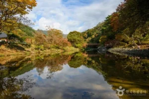 서초구 사찰 (출처 : 한국관광공사)