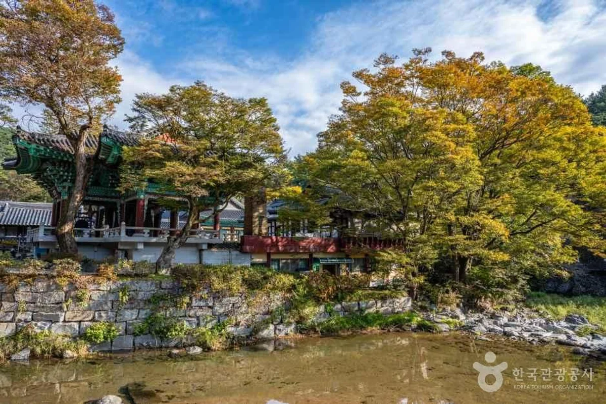 천개사 - 서초구 사찰 여행