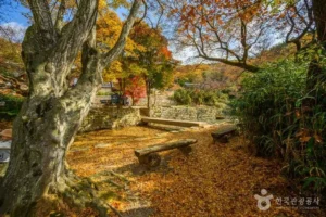 서산시 등산 (출처 : 한국관광공사)