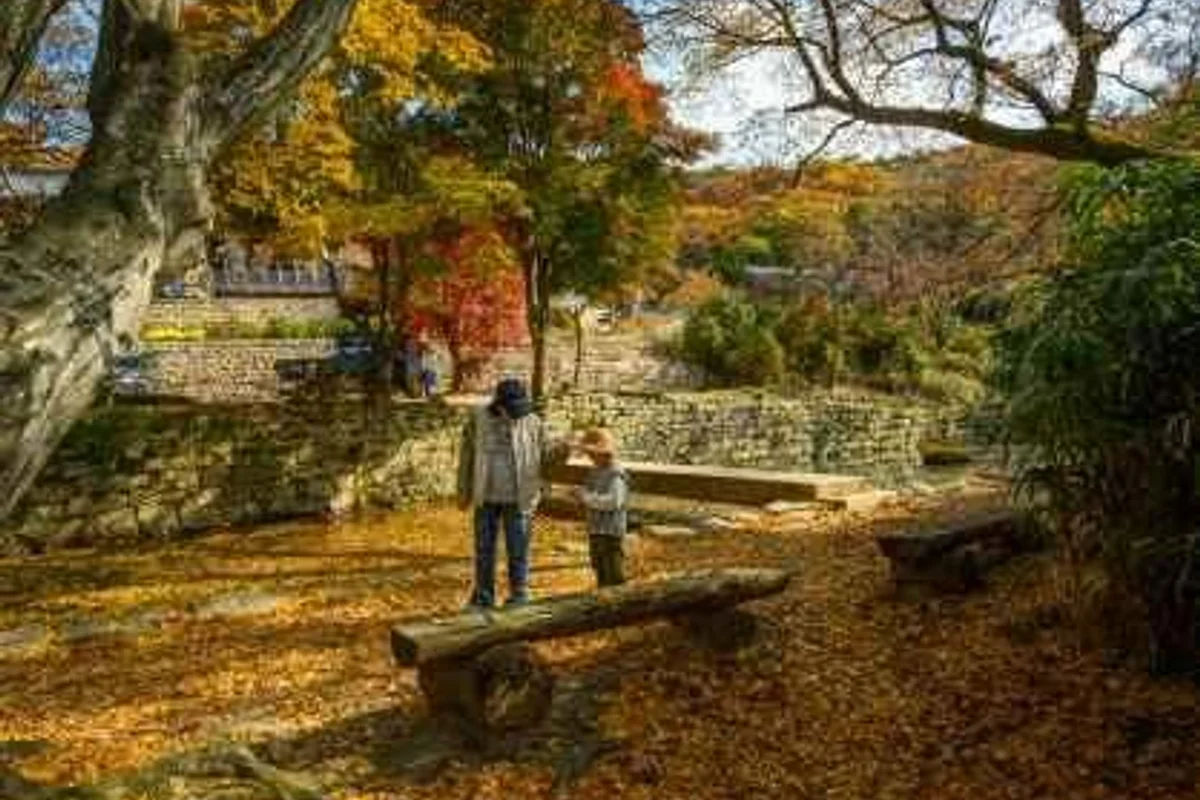 팔봉산 - 서산시 등산 여행