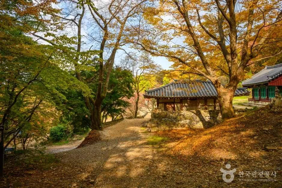 정글카페 - 서산 여행 여행