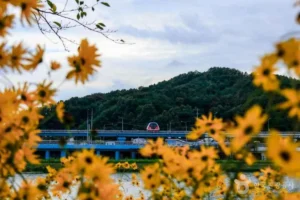 순천 대중교통 여행 (출처 : 한국관광공사)