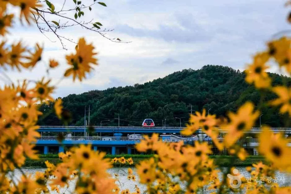 순천 대중교통 여행 (출처 : 한국관광공사)