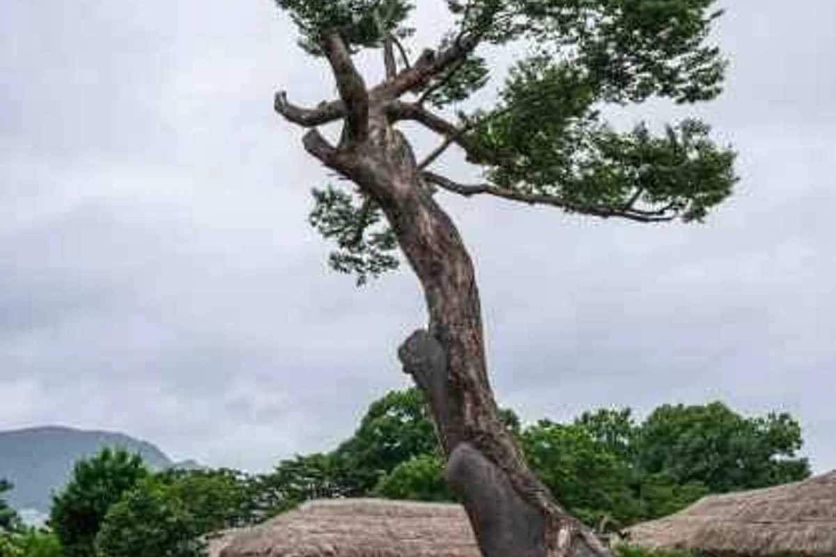 아산외암마을건재고택 - 외암민속마을 여행