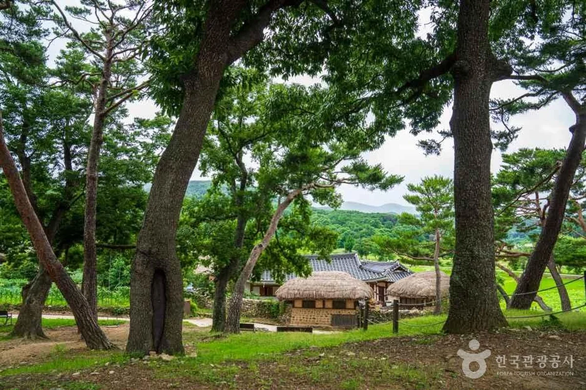 아산외암마을참판댁 - 외암민속마을 여행