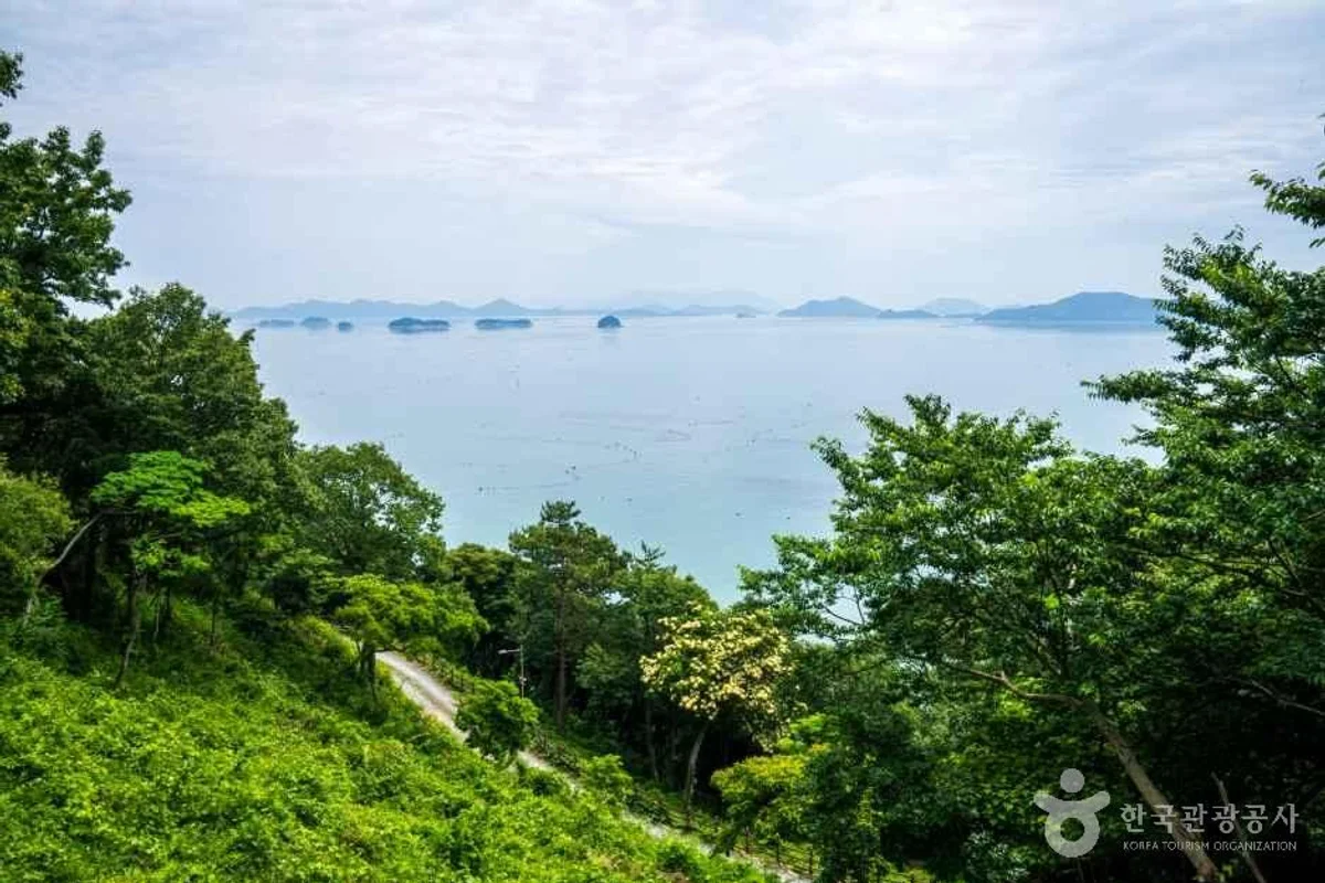 약산 치유의 숲 - 완도 여행