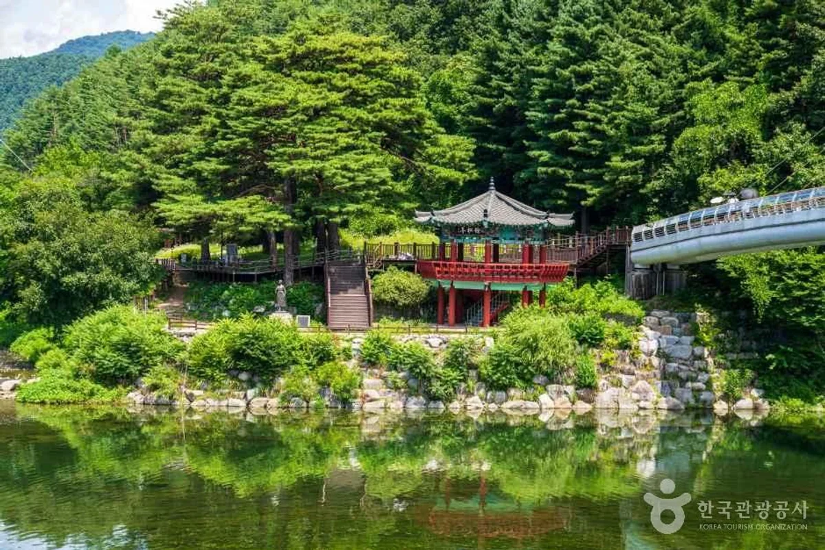 송정 더 쿨리스트 호텔 - 송정 호텔 여행
