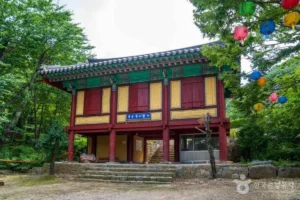 영덕 반려견 동반 (출처 : 한국관광공사)