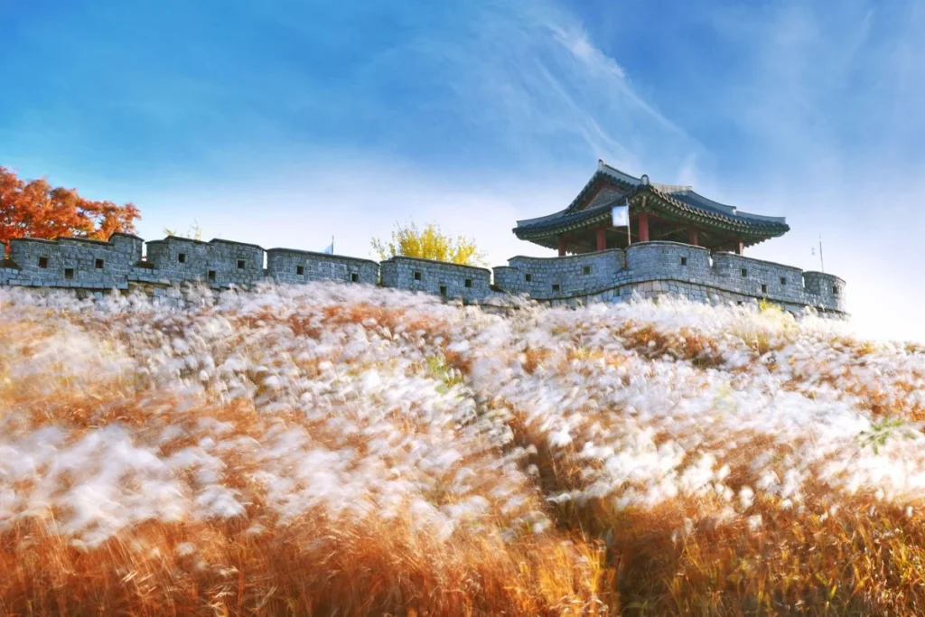 수원시 동물원 (출처 : 한국관광공사)